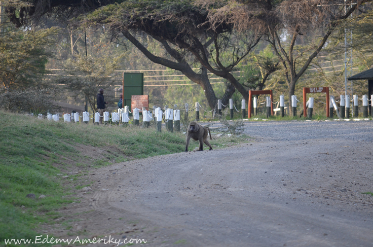 парк Ворота Ада Кения