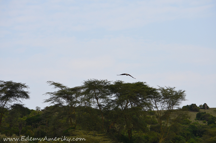 поездка в Кению